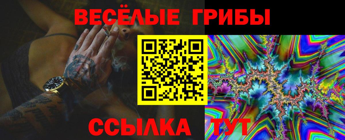 Галлюциногенные грибы Psilocybe  Псилоцибиновые грибы мицелий  Строитель  наркошоп  Вход с VPN 